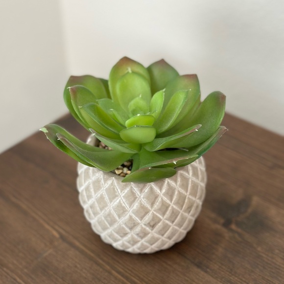 Artificial faux succulent in ceramic pot - Picture 6 of 6
